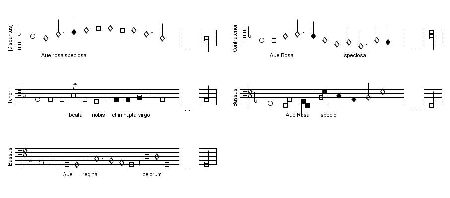 Ave rosa speciosa incipit
